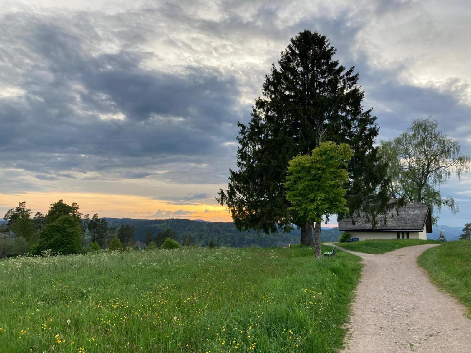 Haus Hanni Höchenschwand Zewnętrze zdjęcie